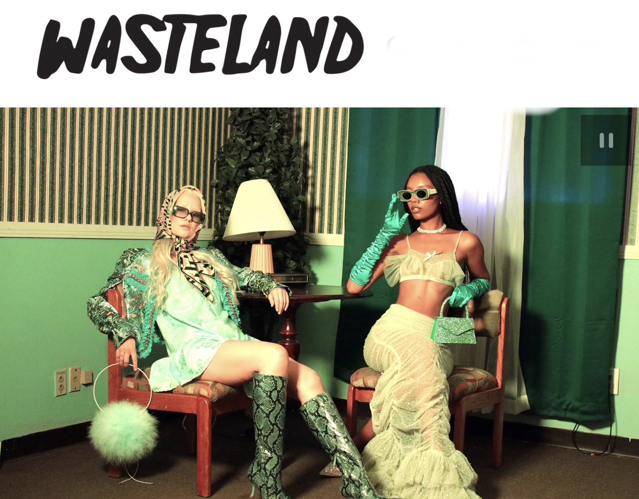 Shop Wasteland LA With us.