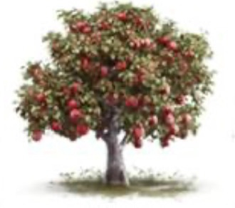 Home Goods San Clemente